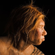 Illustration for article titled How did Neanderthal genes affect humanity? Here are some answers.